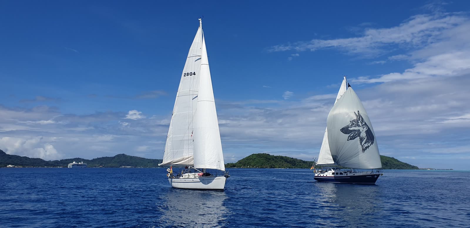 Zwei Yachten unter Segeln